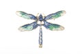 Dragonfly enamel brooch isolated on white Royalty Free Stock Photo