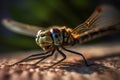 Dragonfly eyes wings fauna. Generate Ai