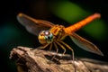 Dragonfly eyes wings. Generate Ai