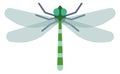 Dragonfly flat icon. Winged flying color insect