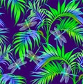 Dragonfly and Flowers. Seamless Pattern. Dark blue backgrounds. Summer night. Royalty Free Stock Photo