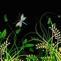 Dragonfly and foliage vector background Royalty Free Stock Photo