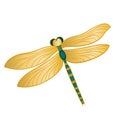 Dragonfly with golden wings, isolated object.