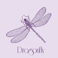 Organic Dragonfly