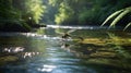 Dragonfly Resting on River Rock in Tranquil Forest Stream Setting with Natural Light Royalty Free Stock Photo