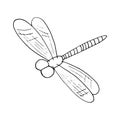 dragonfly icon. hand drawn doodle style. , minimalism, monochrome, sketch. insect, flies.