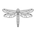 Dragonfly icon in a Linear Minimalist trendy style. Vector outline Emblem of Insect with wings for creating logos