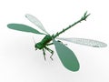 Dragonfly illustration