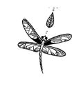 Dragonfly ink doodle. Royalty Free Stock Photo