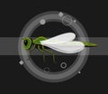 Dragonfly Insects Vector Illustration Royalty Free Stock Photo