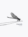 Dragonfly. Insects vector illustration. Royalty Free Stock Photo