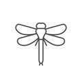 Dragonfly line outline icon or insect concept