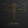 Dragonfly logo design vector illustration eps10. Designer creative logos.