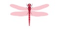 dragonfly Royalty Free Stock Photo