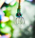 A dragonfly macroshot. Royalty Free Stock Photo