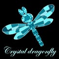 Dragonfly made of crystals. Elegant brooch vector illustration