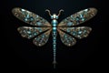 The dragonfly is made of precious metals and stones. Beautiful brooch isolated on black background