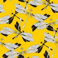 Dragonfly, odonata hand drawn seamless pattern Royalty Free Stock Photo
