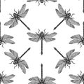 Seamless pattern with hand drawn dragonfly. Vector insects sketch collection. Vintage spring background.