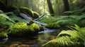 Dragonfly Resting on Mossy Rock in Lush Forest Beside Clear Flowing Stream Royalty Free Stock Photo