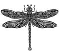 Dragonfly printable vector illustration in black white graphic illustration isolated on white background for print or design Royalty Free Stock Photo