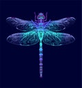 Dragonfly. Seamless Pattern. Dark blue backgrounds. Summer night.