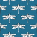 Dragonfly seamless pattern vector hand drawn Royalty Free Stock Photo