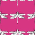 Dragonfly seamless pattern vector hand drawn illustration Royalty Free Stock Photo