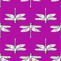 Dragonfly seamless pattern vector hand drawn illustration Royalty Free Stock Photo