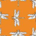 Dragonfly seamless pattern vector hand drawn illustration Royalty Free Stock Photo