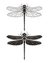 Dragonfly silhouette icons set. Vector