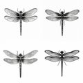 Dragonfly silhouette Dragonfly clipart stickers