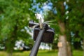 Dragonfly sits on tripod action camera in nature. Shooting nature action camera. Interesting insects