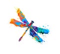 Dragonfly of splash paint