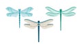 Dragonfly with Two Pairs of Strong, Transparent Wings Vector Set