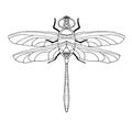 Dragonfly. Vector illstration Royalty Free Stock Photo