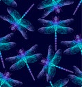 Dragonfly. Seamless Pattern. Dark blue backgrounds. Summer night.