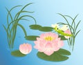 Dragonfly water Lily leaves grass on the water surface Royalty Free Stock Photo