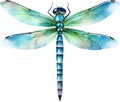 Dragonfly Watercolor Clipart.