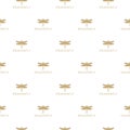 Dragonfly wings seamless pattern isolated on white background Royalty Free Stock Photo