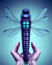 Dragonfly world and mystery Royalty Free Stock Photo