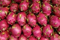 Dragonfruit Royalty Free Stock Photo