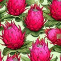 Dragonfruit Pattern Drawing