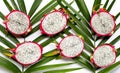 Dragonfruit or pitahaya on green leaves background