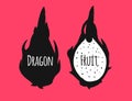 Dragonfruit, sketch for your design