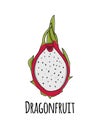 Dragonfruit, sketch for your design