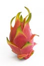 Dragonfruit standing upright Royalty Free Stock Photo