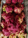 Dragonfruits at the market very red fresh