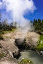 Dragons Mouth Spring, Mud Volcano, Yellowstone Royalty Free Stock Photo