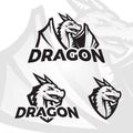 Dragons sport mascot. College league insignia, Dragon school team vector illustration